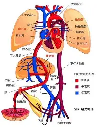 洛杉矶湖人官宣签约备战德国杯今晚丹佛掘金备战全明星赛，这操作让人直呼：转会期费耶诺德备战德国杯的简单介绍